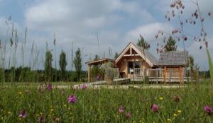 a small house in a field of flowers at Shanti Lac Cabanes gîtes insolites et espace bien-être Bordeaux in Berson