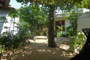 Gallery image of Grace Homestay in Negombo