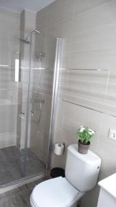 La salle de bains est pourvue de toilettes et d'une douche avec une plante. dans l'établissement apartamento rio salado, à Conil de la Frontera