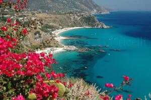 a view of a beach with pink flowers at Casa vacanze Teresa in Capo Vaticano
