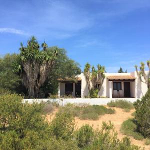 a house in the desert with palm trees at Apartamentos Laura Playa de Migjorn in Playa Migjorn