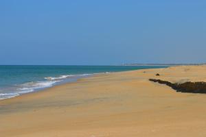 Φυσικό τοπίο κοντά σε αυτός ο ξενώνας