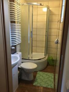 a bathroom with a shower and a toilet and a sink at Agroturystyka Przy Świerku in Chęciny