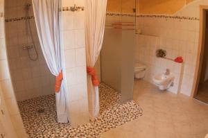 a bathroom with a shower and a toilet at Traum-Ferienwohnungen Wechselberger Schwendau in Schwendau +20 photos