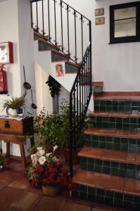 una escalera en una casa con plantas y flores en El Zaguan, en Granada