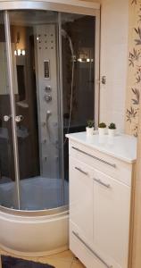 a bathroom with a shower and a white counter at Domek na Cichej Leśniewo in Leśniewo +58 photos