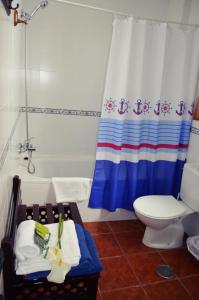 een badkamer met een douche, een toilet en een douchegordijn bij El Zaguan in Granada