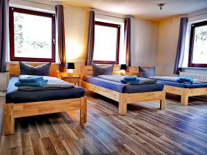a room with three beds and two windows at Selker Noor Apartments - 1,4 ha Naturpark, privater Terrasse, Bachlauf an der Selker Wassermühle in Schleswig