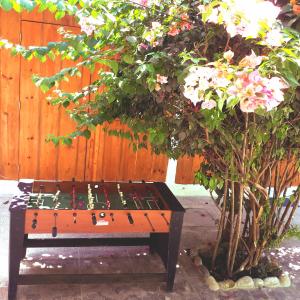 Photo de la galerie de l'établissement Casa Lao Centro, à Zihuatanejo