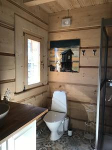ein Badezimmer mit einem weißen WC und einem Waschbecken in der Unterkunft Fjäll Stuga in Steninge