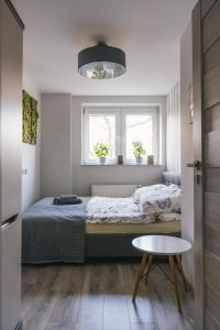 um quarto com uma cama, uma mesa e 2 janelas em Gray em Bielsko-Biala