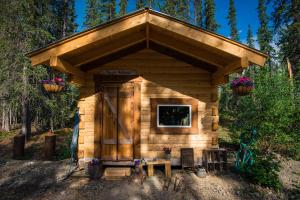 Zahrada ubytování Blackburn Cabins - McCarthy, Alaska + 37 fotografií