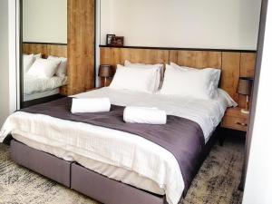 Voodi või voodid majutusasutuse Hotel Alpha toas