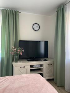 カリーニングラードにあるApartments Sweet Homeのベッドルーム(テレビ、緑のカーテン付きのベッド1台付)
