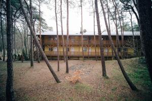 a building in the middle of a forest of trees at Przystań Łeba II in Łeba