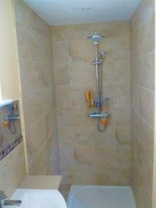 een badkamer met een douche, een toilet en een wastafel bij Sunny Patch in Stroud