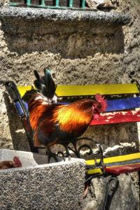 Fotografie z fotogalerie ubytování Cascina del Sole v destinaci Asso