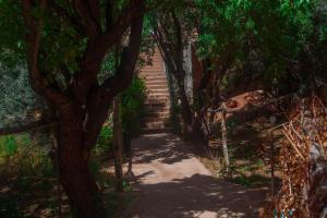 ブマルヌにあるKasbah Ait Kassiの木のある階段へと続く道