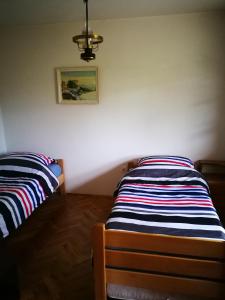 a bedroom with two beds and a picture on the wall at Ecohouse Oliveglia in Šilo