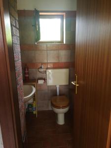 a bathroom with a toilet and a sink and a window at Ecohouse Oliveglia in Šilo