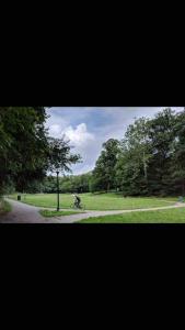 a person riding a bike in a park at Best Bedroom Next to JHU in Baltimore