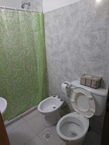 a bathroom with a toilet and a green shower curtain at DEPARTAMENTO TEMPORARIO DONOVAN in Resistencia