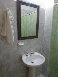 a bathroom with a sink and a mirror and a shower at DEPARTAMENTO TEMPORARIO DONOVAN in Resistencia