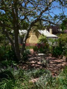 Photo de la galerie de l'établissement Walnut Cottage, à Angaston