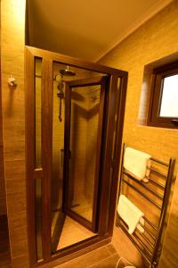 een douche met een glazen deur in de badkamer bij Alto Pangal Lodge Puerto Aysen in Puerto Aisén