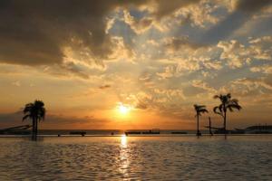 a sunset over a body of water with palm trees at AMAZING BEACH FRONT - ACQUA NUEVO VALLARTA - MX in Nuevo Vallarta  +3 photos