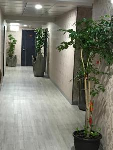 Fotografie z fotogalerie ubytování My House Hotel 宜蘭縣旅館280號 v destinaci Luodong