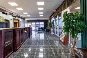 una hall con ufficio, bar e piante di Econo Lodge Kingsville a Kingsville Altre 20 foto