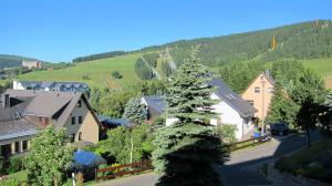 a village in the mountains with a pine tree at Ferienwohnungen Oberwiesenthal in Kurort Oberwiesenthal