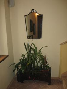 Fotografie z fotogalerie ubytování B&B A Casa Di Andrea v destinaci Mantova