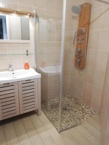 a bathroom with a shower and a sink at L'Escale Bellevue in Blaye