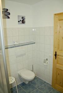 a bathroom with a white toilet in a room at Ferienwohnung Gipfelstürmer in Bolsterlang