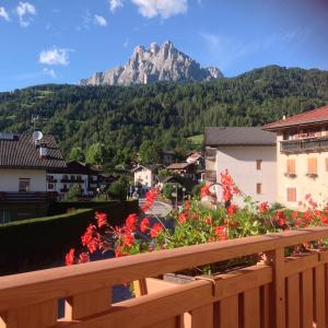 a view of a mountain from a balcony with flowers at Casa Berlanda in Fiera di Primiero