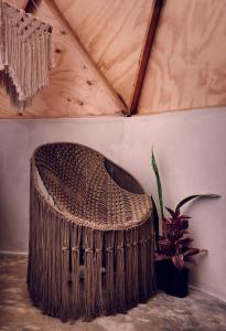 Fotografie z fotogalerie ubytování Frequency v destinaci Ostrov Holbox