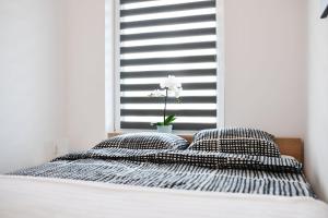 Fotografia z galérie ubytovania Apartament Błękitne Wybrzeże- z garażem v destinácii Kołobrzeg