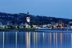 a large boat on the water in front of a town at Hotel Niederée in Bad Breisig