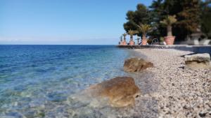 a beach with rocks and water and palm trees at Sonce in Izola