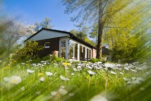 Zahrada ubytování Wassermühle Heiligenthal