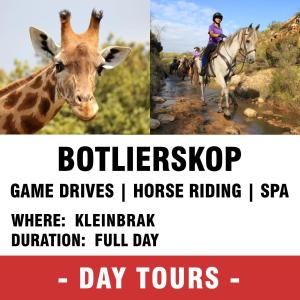 a collage of two pictures of a giraffe and a person riding a horse at Pili Pili Beach Cabanas in Sedgefield