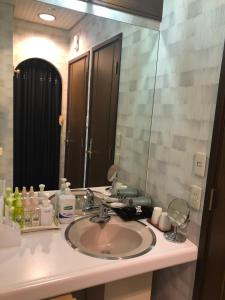 eine Badezimmertheke mit einem Waschbecken und einem Spiegel in der Unterkunft Hotel Vegas (Adult Only) in Sapporo