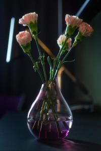Fotografie z fotogalerie ubytování Hotel Lasaretti v destinaci Oulu
