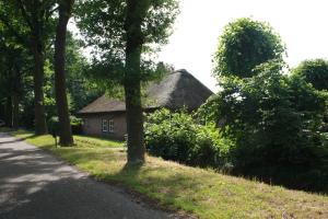 een huis aan de kant van een weg met bomen bij BnB De Peelvos in Deurne