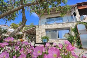 圣帕拉斯凯维Theasea的相册照片