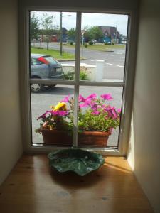 Fotografie z fotogalerie ubytování Carranross Accommodation v destinaci Killarney