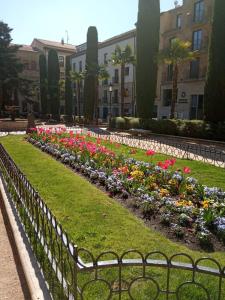 Jardín al aire libre en Salamanca Suites Libertad