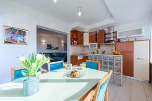Kuchyň nebo kuchyňský kout v ubytování Luxury apartment Tara